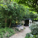 Blick in den Garten