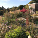 Blick in den Garten