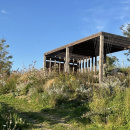 Blick in den Garten