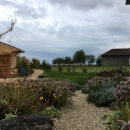 Blick in den Garten