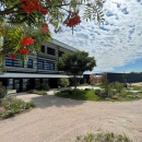Blick in den Garten