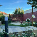 Blick in den Garten