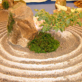 IMG 9879