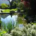 teich-und terrassensituation